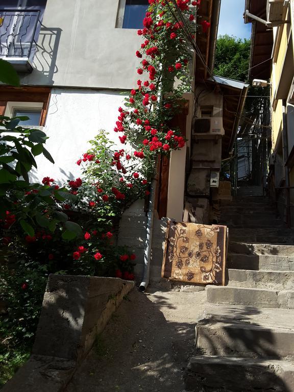 Diana Guesthouse Veliko Tŭrnovo Exterior photo